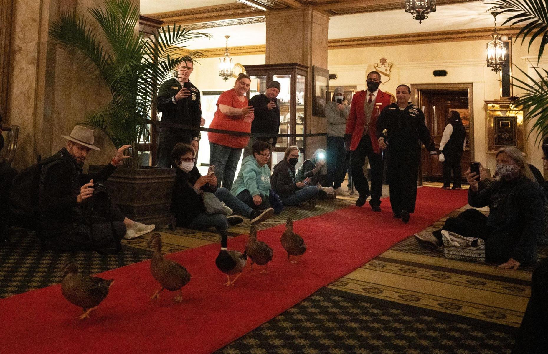 Tennessee: Peabody Hotel, Memphis
